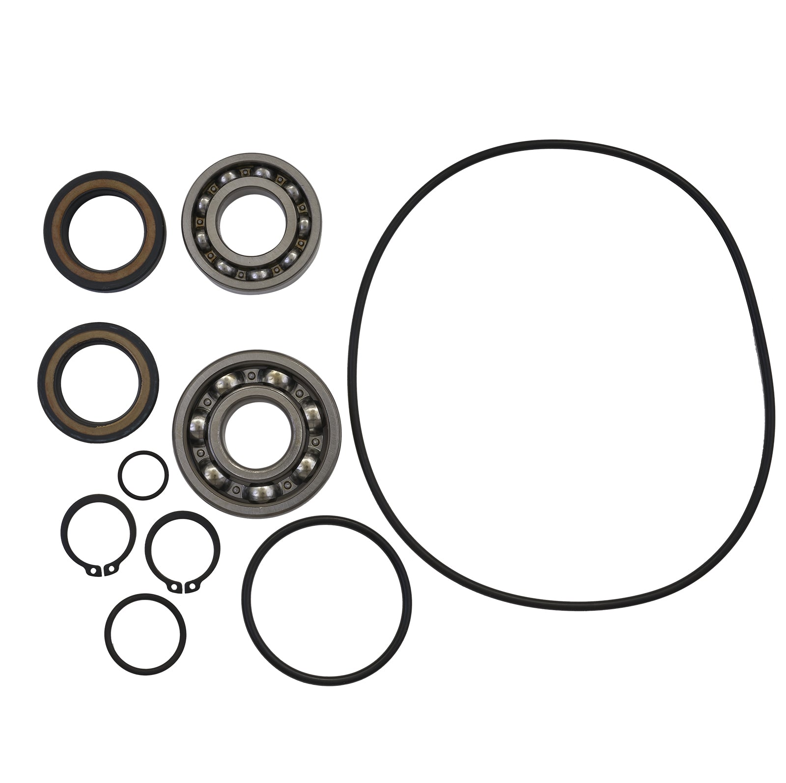 Jet Pump Rebuild Kit Compatible with Honda F-12/F-12X/R-12X/R-12X 2002-2007