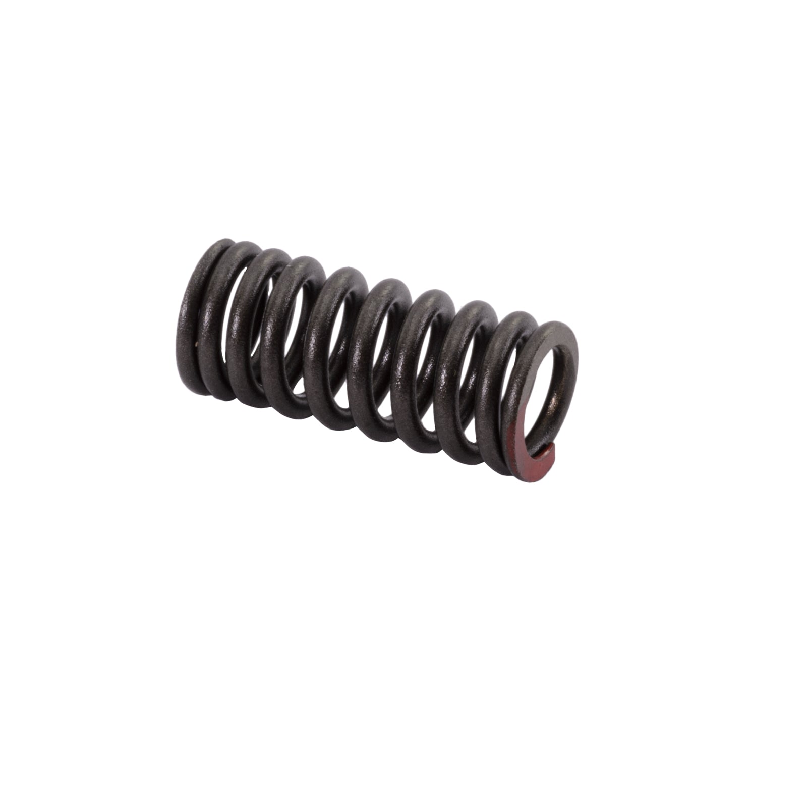 Valve Intake Spring - Yamaha 4XV-12113-00-00 VX110 Deluxe (Select Models)